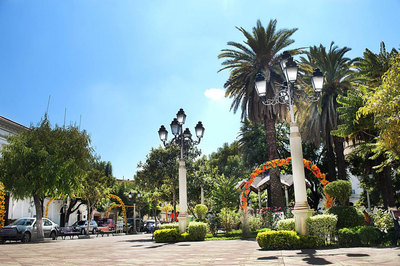 A sunny town square with several ornate lampposts,palm trees and flower arches