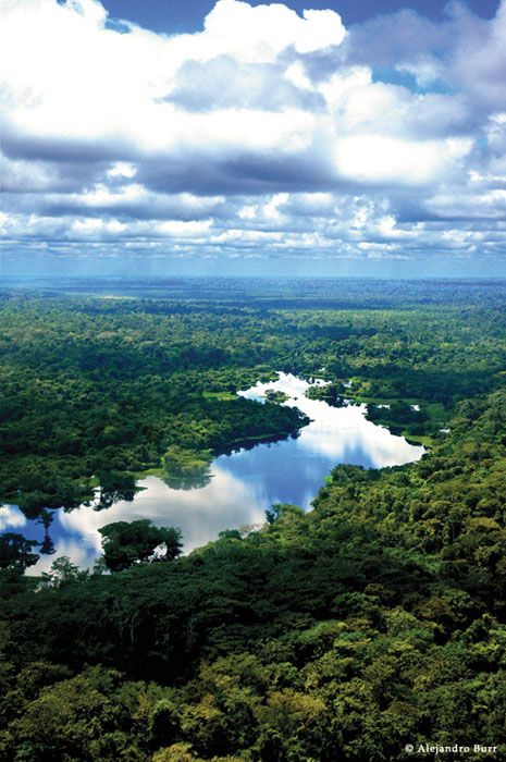 Pando landscape from the above